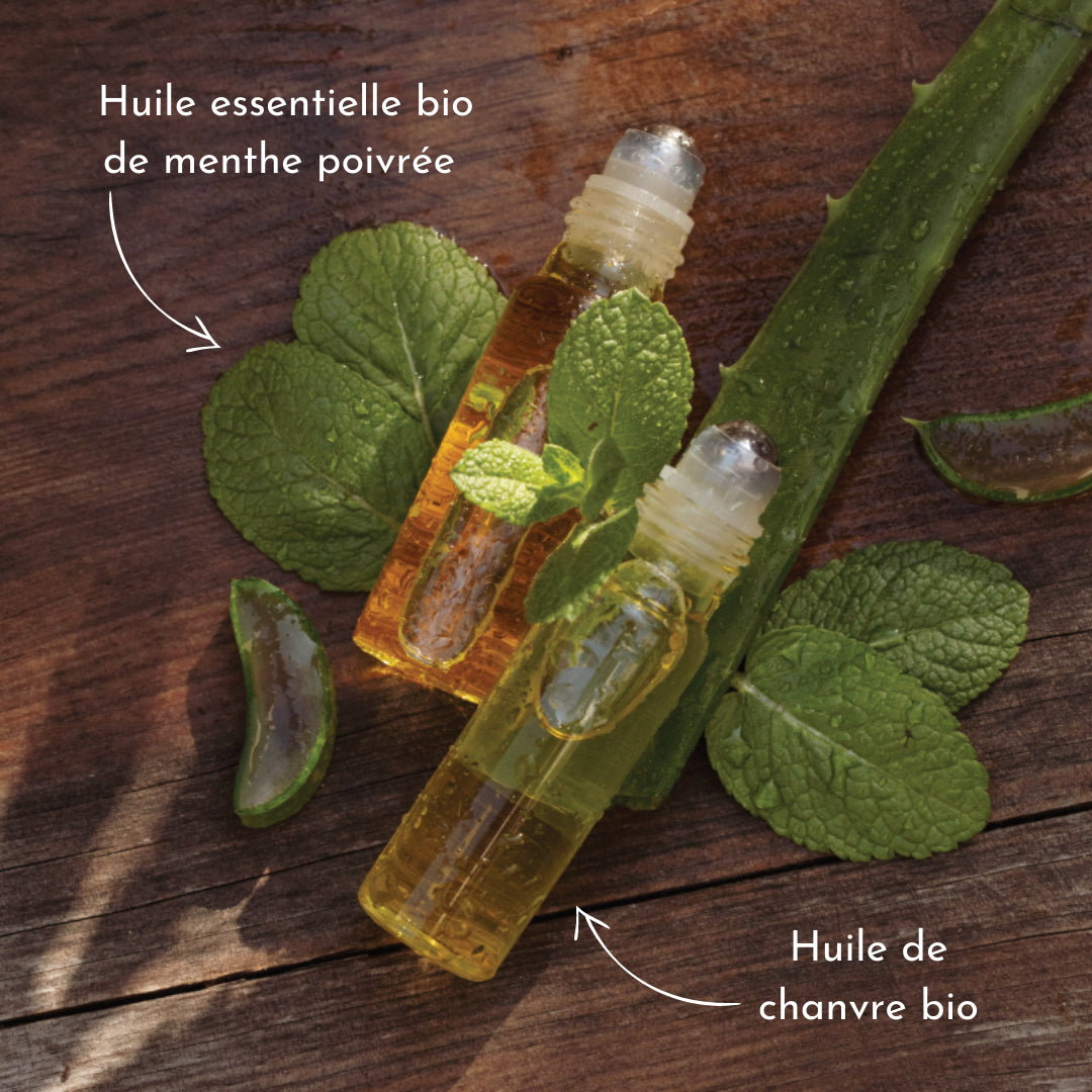 Soin lèvres nourrissant et repulpant à l'huile essentielle de menthe – Mady  et Moi
